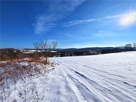 29437574
