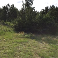 29320352