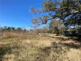 29321444