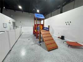 29374389