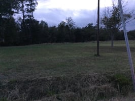 29324537