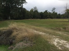 29324534