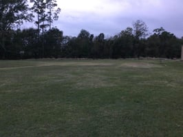 29324538