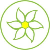 29324781