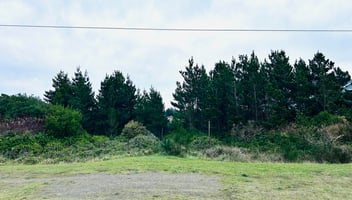 29324625