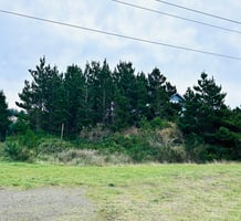 29324624