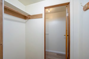 29362050