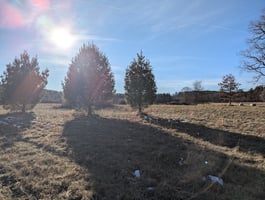 29327226