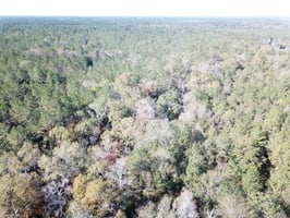 29329029