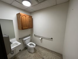 29329779