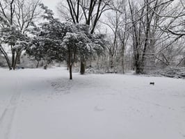 29347840