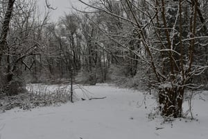 29347634
