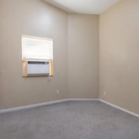 29398532