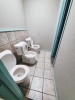 29331402