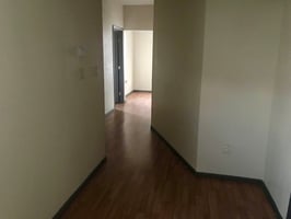 29332377