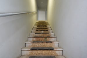 29332407