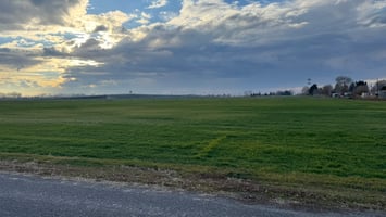 29333470