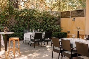 29366568