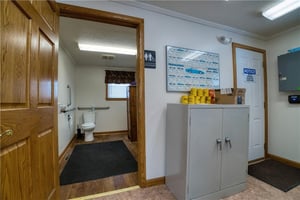 29334956