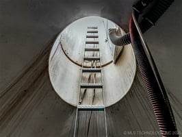 29335917