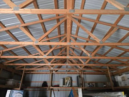29339668