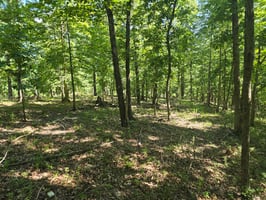 29362832