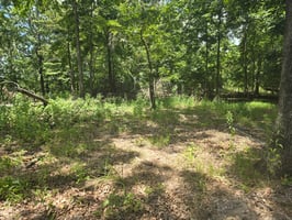 29362842