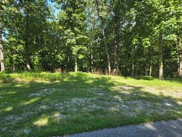 29362852