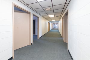 29343546