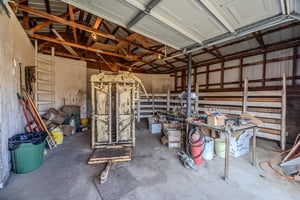 29376902