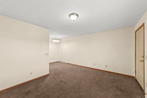 29344205