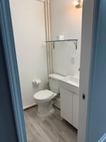 29433262