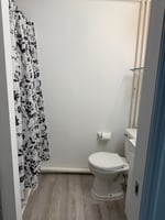 29433261