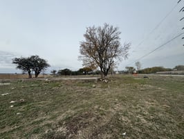29344785