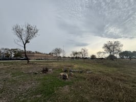 29344790