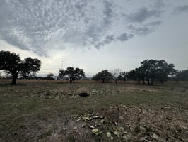 29344788