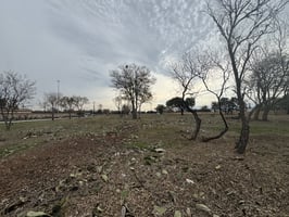 29344789