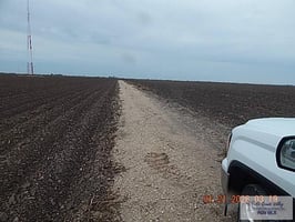 29345126