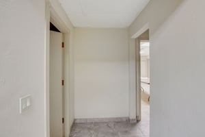 29345800