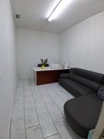 29485520