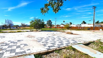 29348663