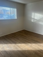 29349555