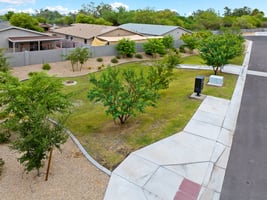 29351303
