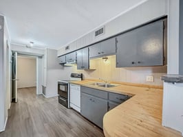 29351906