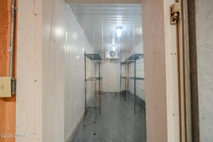 29356529