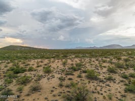 29404913