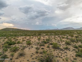 29356972