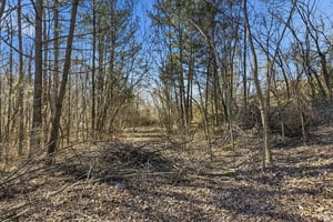 34106447