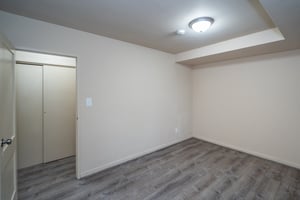 29360507