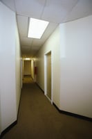 29361269